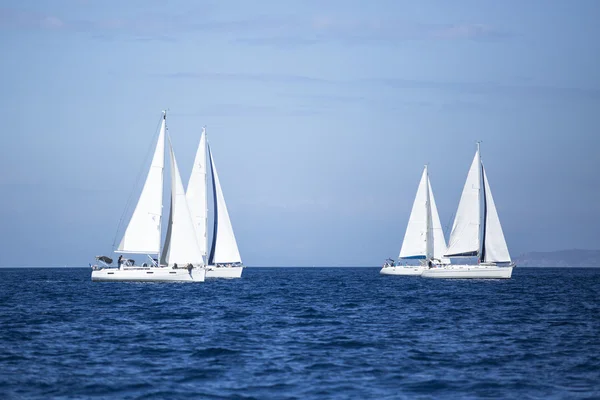 Unidentified sailboats participate in sailing regatta — Stock Photo, Image