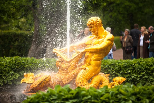 Sansón - el palacio de la fuente central y el conjunto del parque Peterhof —  Fotos de Stock