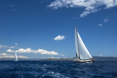 Yelkenli. Yatçılık