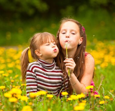 iki kız kardeş şişirme Dandelion tohumları