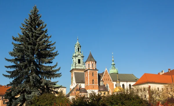 Королевский дворец в Вавеле в Кракове . — стоковое фото