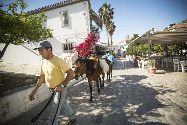 Man leads a donkey at the Greek island — Stock Photo, Image