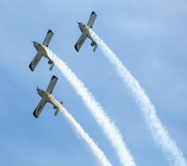 akrobasi ekibi 3 x sinek sinthesis Teksaslı