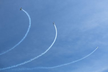 akrobasi ekibi 3 x sinek sinthesis Teksaslı