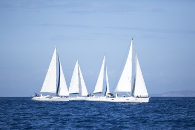 Sailboats  in sailing regatta 