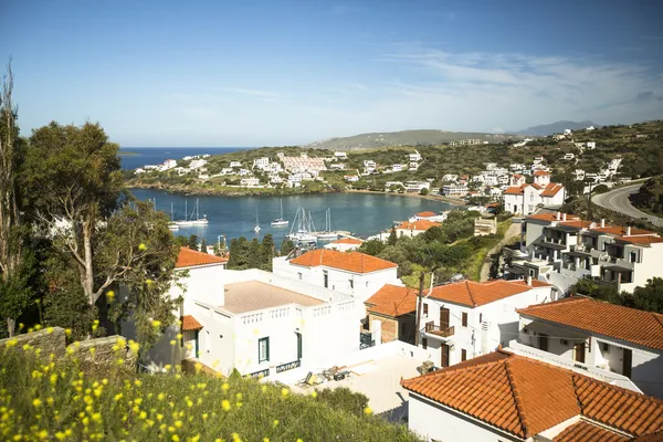 Jachthaven van andros, Grieks eiland — Stockfoto