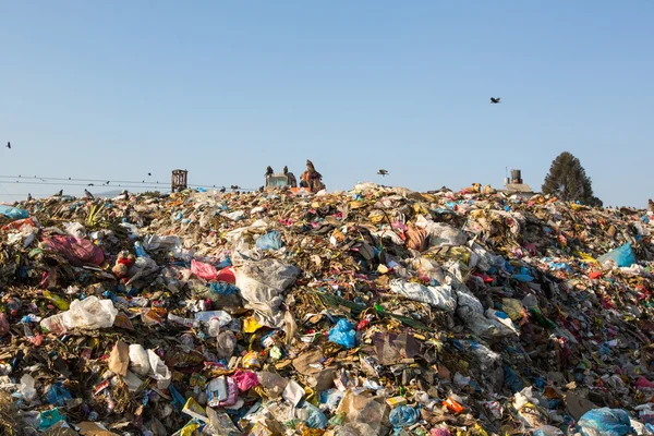 Food and pile of domestic garbage in landfill Stock Image