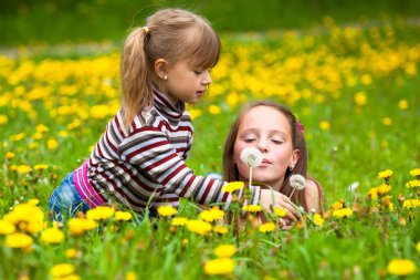 Little sisters şişirme dandelion