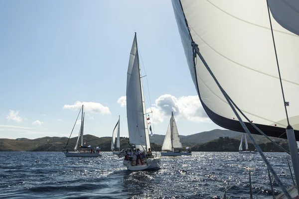 Veleiros em regata à vela — Fotografia de Stock