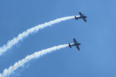 ekstra 300, d eaxk iki kişilik hava akrobasi uçağı