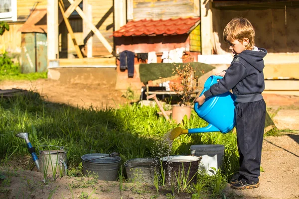 Junge gießt Blumenbeet — Stockfoto