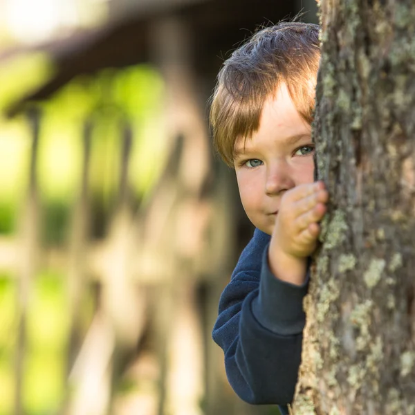 Boy peeking from tree trunk Royalty Free Stock Images