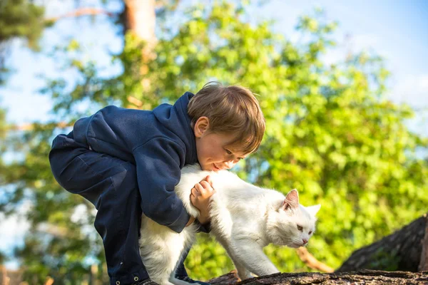 Kleine jongen speelt met een kat. — Stockfoto