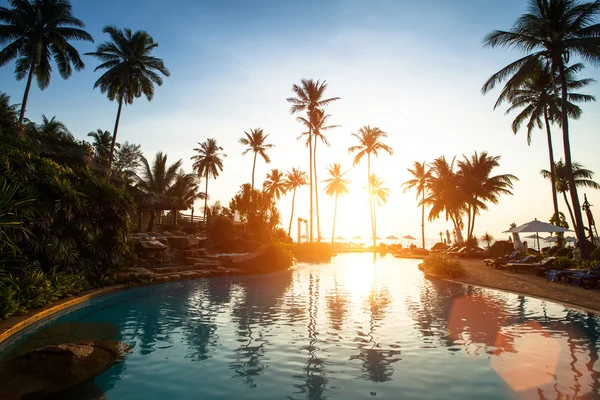 Beach in the tropics on sunset — Stock Photo, Image