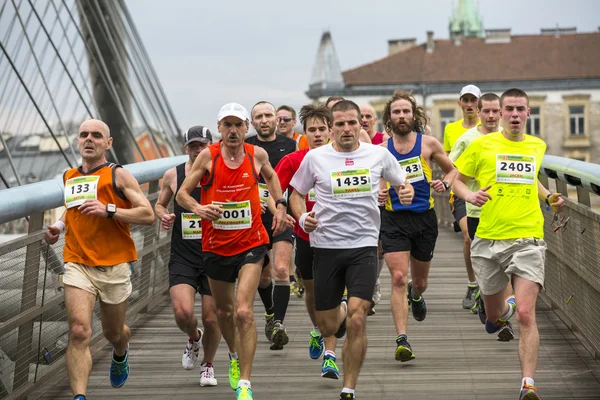 Jaarlijkse marathon van Krakau — Stockfoto