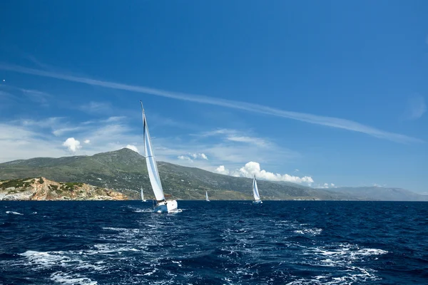 Veleiros participam na regata de vela — Fotografia de Stock