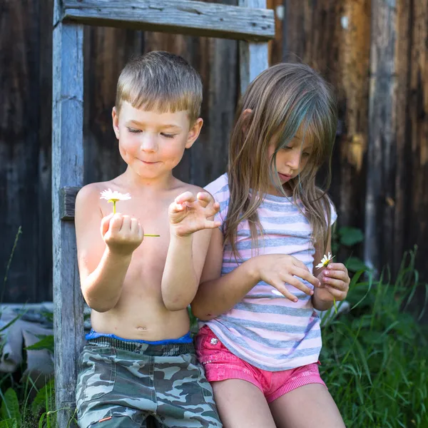 Niño y niña con margarita cerca de casa —  Fotos de Stock