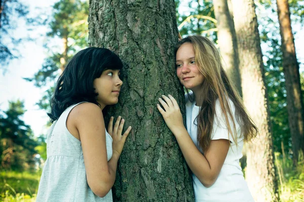 Zwei Freunde Teengirl Genießen Zusammen Park — Stockfoto