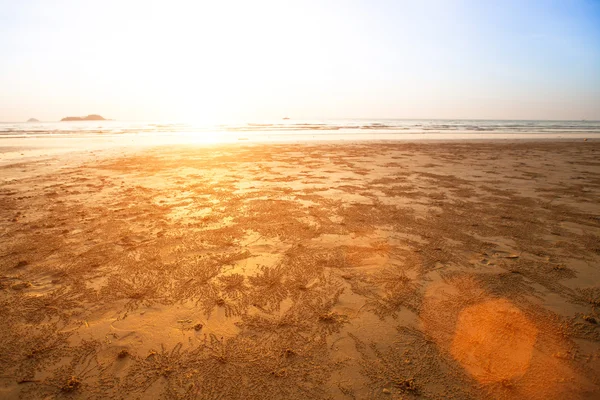 Sabbia marina costiera — Foto Stock