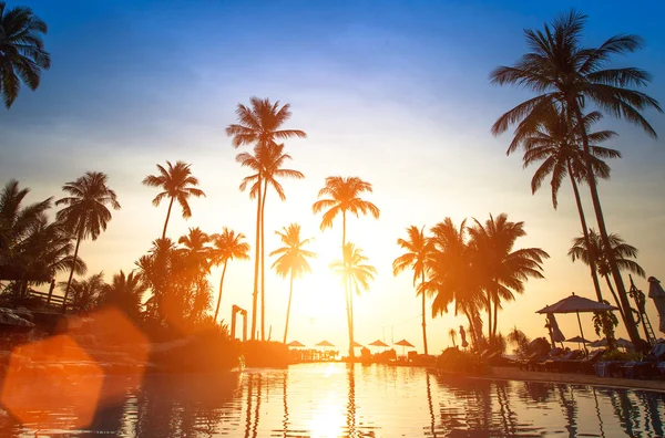 Beach in the tropics. — Stock Photo, Image