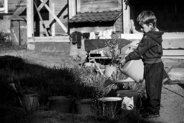 Malý Chlapec Zalévá Postýlky Vesnici Plechovkou Vody Černobílá Fotografie — Stock fotografie