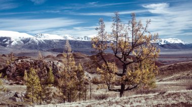 Altai Cumhuriyeti, Rusya 'nın dağ sırtı manzarası.