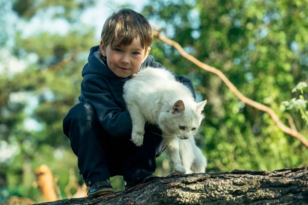 Menino Está Brincando Com Gato Livre Parque — Fotografia de Stock