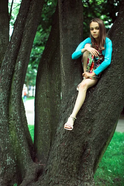 Девочка Подросток Сидит Дереве — стоковое фото