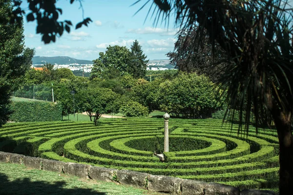 Laberinto Construido Por Setos Parque Público Sao Roque Oporto Portugal — Foto de Stock