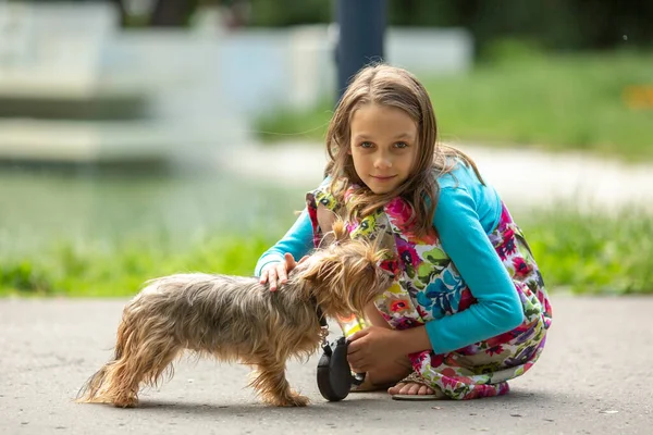 Retrato Menina Adolescente Com Pequeno Cão Rua — Fotografia de Stock