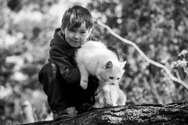 小さな男の子が屋外で猫と遊んでいる 白黒写真 ストックフォト
