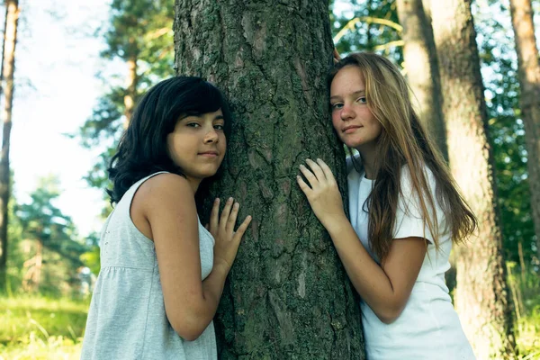 Két Barátnő Pózol Parkban Egy Fenyőfa Mellett — Stock Fotó