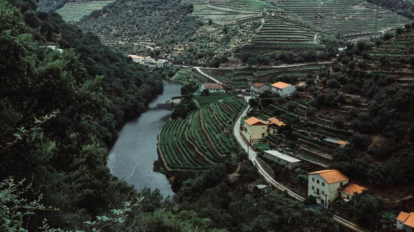 葡萄牙波尔图多罗山谷山丘上的房屋和葡萄园景观 图库照片