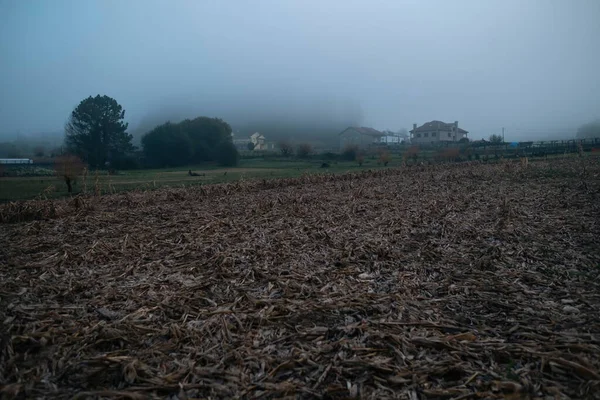 Autumn Field Morning Fog Deep Spain — Stock Photo, Image