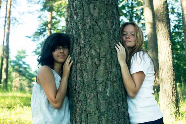 Δύο Έφηβες Αδερφές Κοντά Ένα Πεύκο Στο Πάρκο Εικόνα Αρχείου