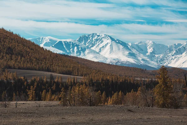 Τοπίο Των Βουνών Altai Republic Ρωσία Royalty Free Φωτογραφίες Αρχείου