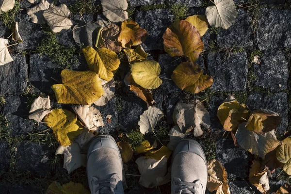 Botas Calçada Queda Com Folhas Caídas — Fotografia de Stock