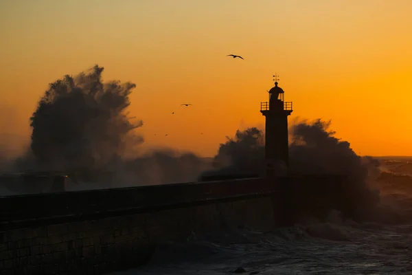 Huge Wave Beach Matosinhos Porto Lighthouse Background Atlantic Osean Portugal — Stok fotoğraf