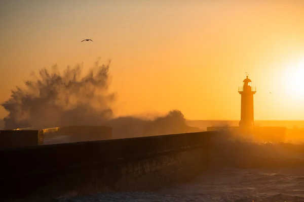 Huge Wave Lighthouse Background Golden Sunset Atlantic Ocean Porto Portugal — Foto de Stock