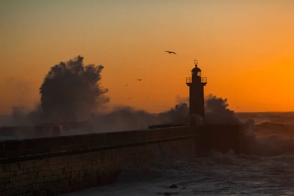 View Lighthouse Huge Wave Atlantic Ocean Porto Portugal — Stok fotoğraf