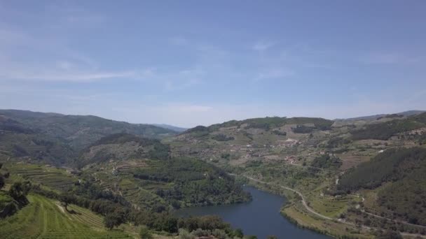 Flying Douro River Valley Portugal — Vídeo de stock