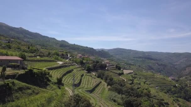 Flying Douro River Valley Portugal — Stock Video