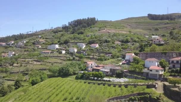 Flying Douro River Valley Portugal — стокове відео
