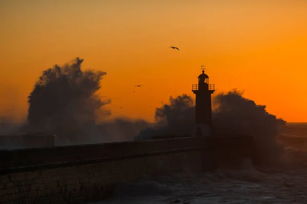Lighthouse Huge Wave Atlantic Ocean Porto Portugal — стоковое фото