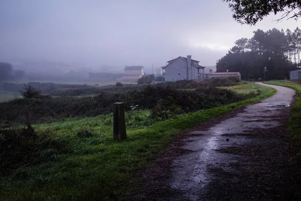 Une Route Campagne Sur Chemin Camino Santiago Galice Nord Ouest — Photo