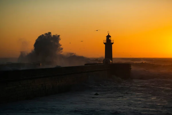 Uma Silhueta Farol Oceânico Entardecer — Fotografia de Stock