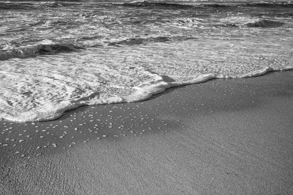 Beach Sand Foam Surf Atlantic Ocean Black White Photo — стоковое фото