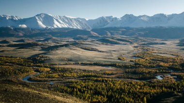 View of the Katun River in the Altai Mountains, Western Siberia, Russia. 
