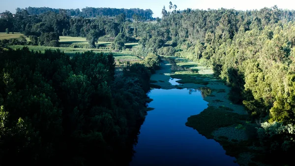 View Forest River Northern Portugal — Zdjęcie stockowe