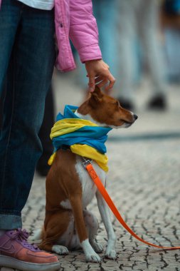 PORTO, PORTUGAL - AUG 24, 2022: Ukrainians gathered near the municipality of Porto to celebrate Independence Day of Ukraine. Is the main state holiday in modern Ukraine, celebrated annual since 1991.
